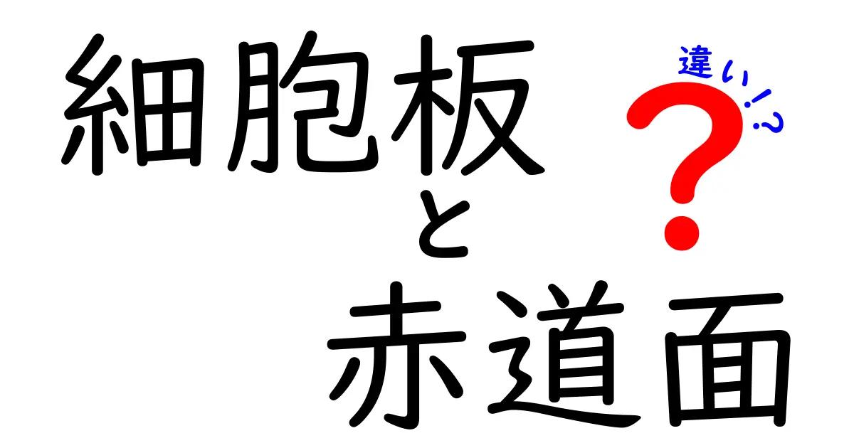 細胞板と赤道面の違いを徹底解説！分裂のしくみを中学生にもわかる言葉で