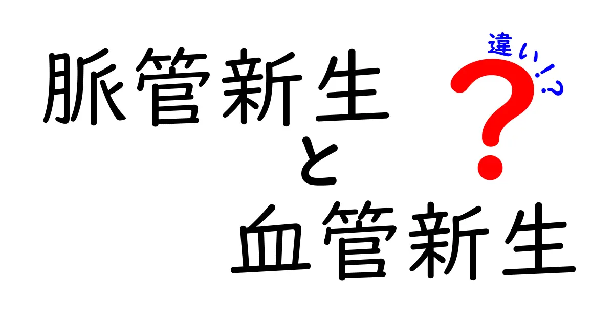 脈管新生と血管新生の違いを徹底解説！中学生にもわかる図解つきの解説