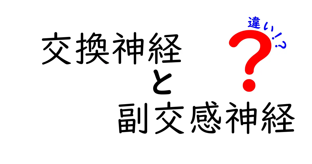交感神経と副交感神経の違いを徹底解説！中学生にもわかるやさしい解説と実例集