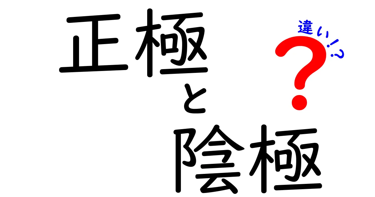 正極と陰極の違いを徹底解説！中学生にもわかる正極 陰極 違いのポイント
