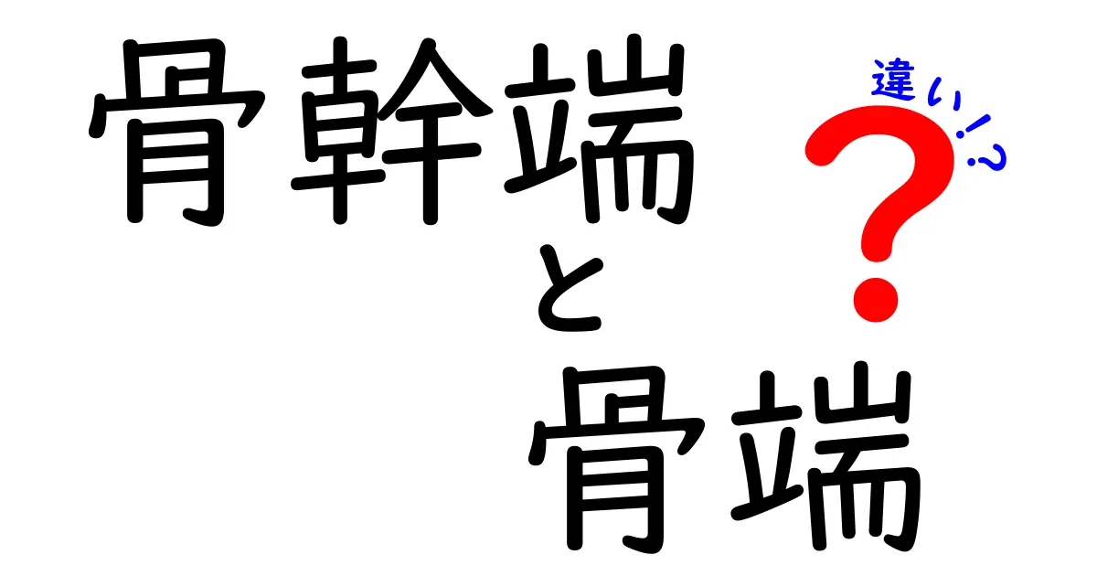 骨幹端と骨端の違いを徹底解説！成長期の骨の仕組みを中学生にもやさしく