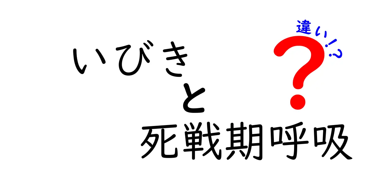 いびきと死戦期呼吸の違いを徹底解説 眠気と命を守るポイント