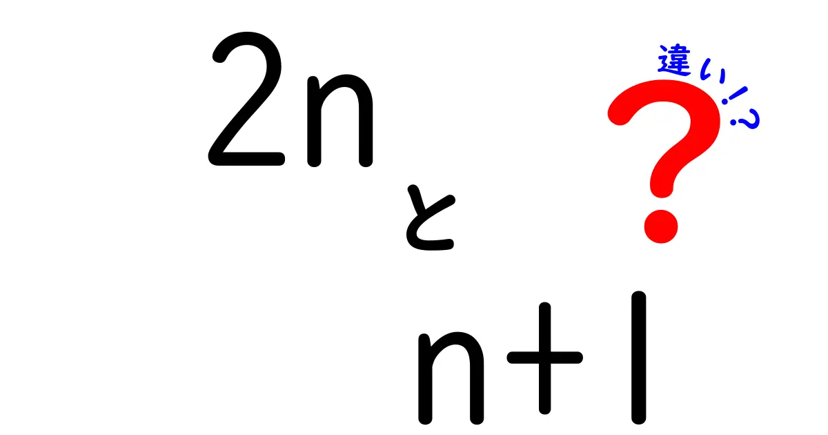 2nとn+1の違いを徹底解説！中学生にもわかる3つのポイント