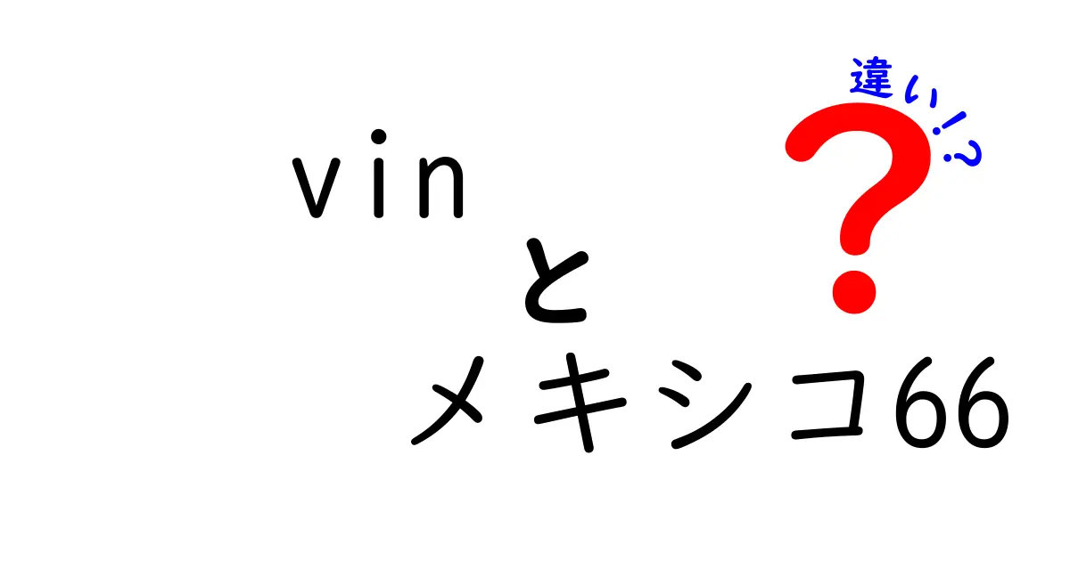 VINとメキシコ66の違いって何？初心者でも分かる徹底比較ガイド