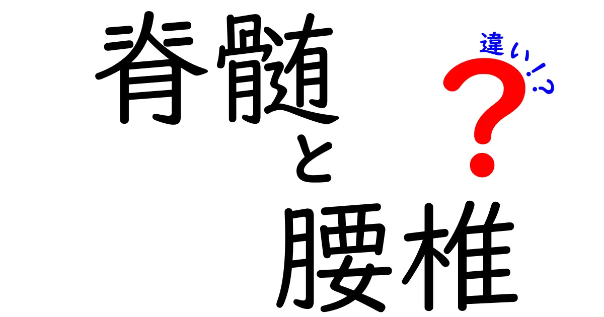 脊髄と腰椎の違いを徹底解説！痛みの原因を見逃さないための基礎知識