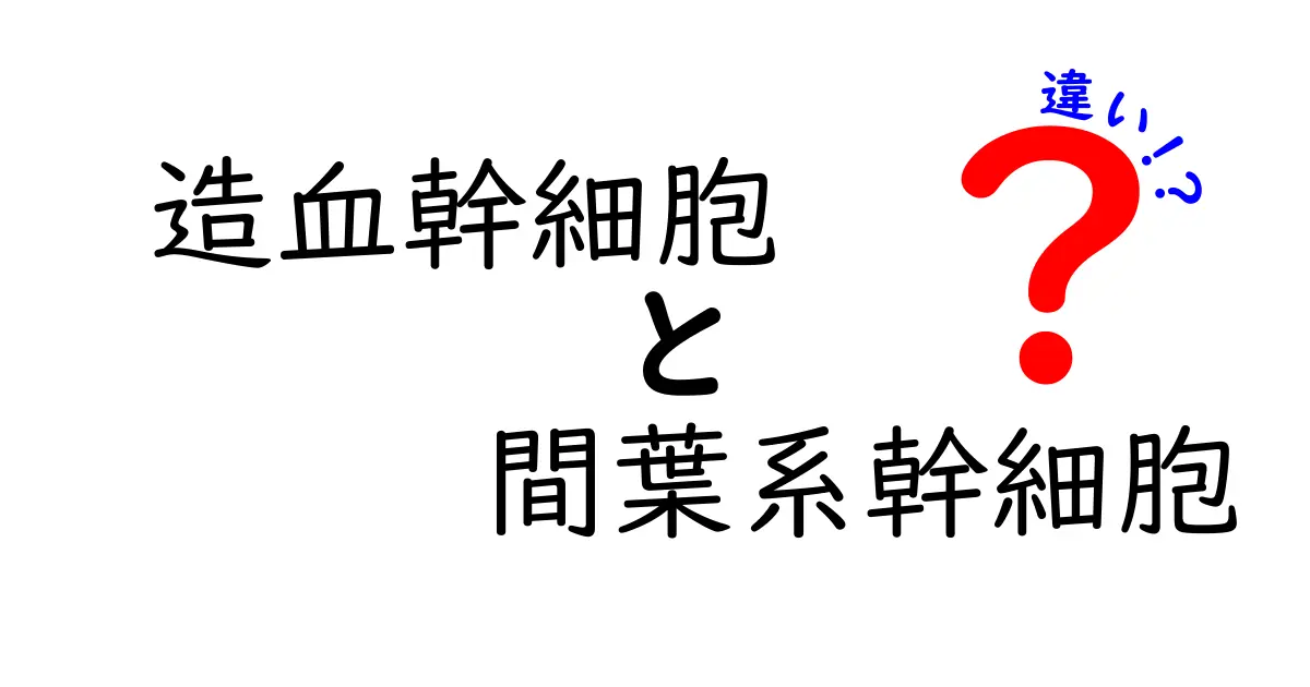 造血幹細胞と間葉系幹細胞の違いを徹底解説：初心者でも分かる入門ガイド