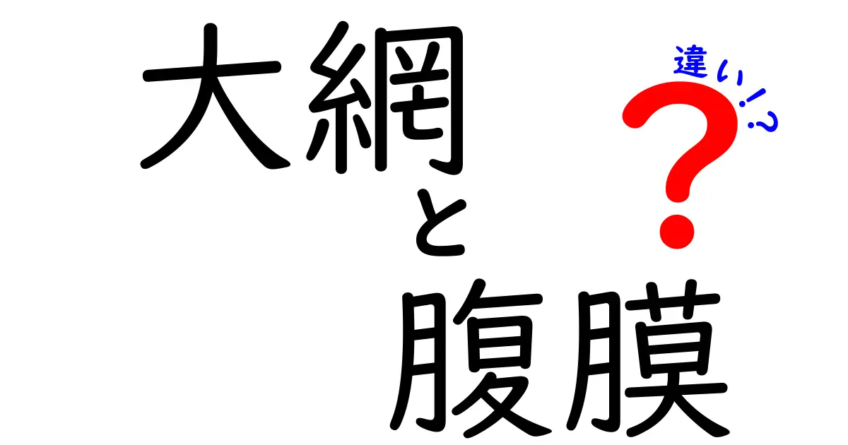 大網と腹膜の違いを完全解説！中学生にもわかる基本ポイント
