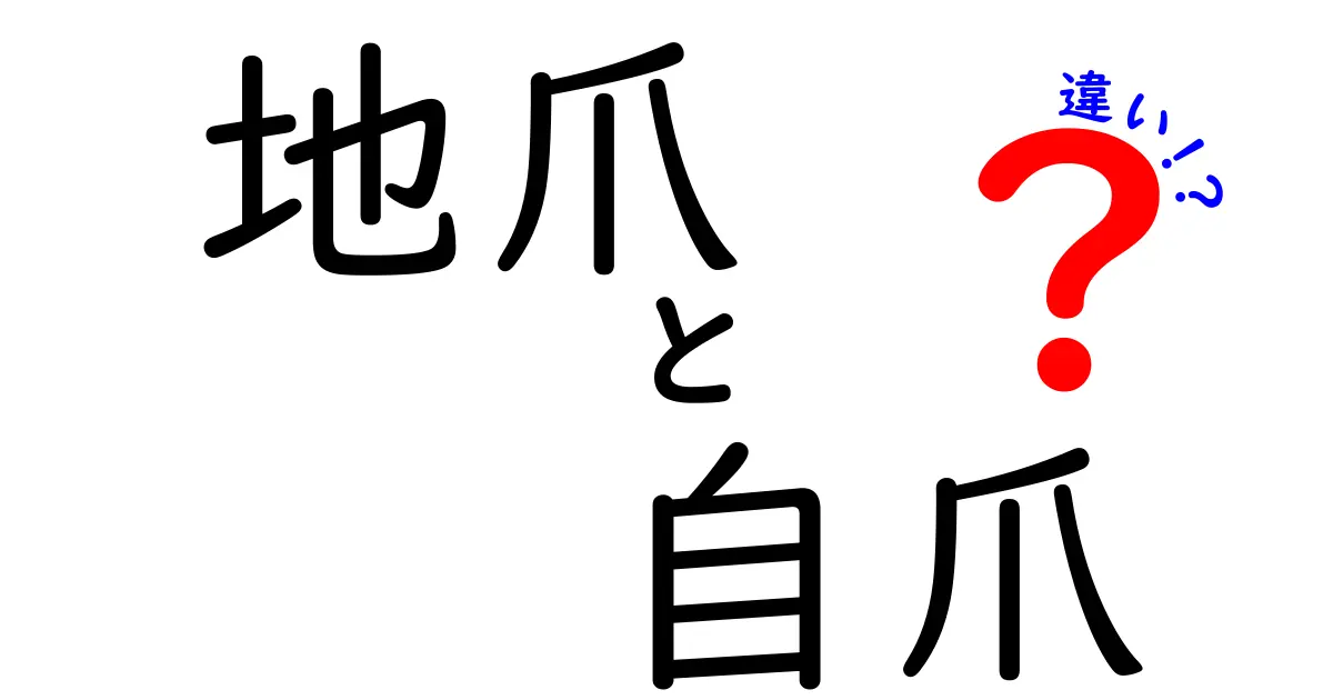 地爪と自爪の違いを徹底解説！正しいケアで美しい爪を育てよう