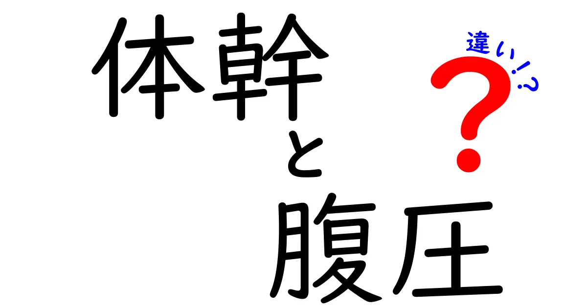 体幹と腹圧の違いを徹底解説！日常動作で差が出る7つのポイント