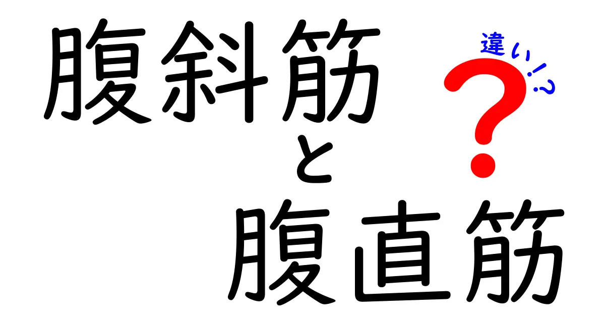 腹斜筋と腹直筋の違いを徹底解説！正しく使うと腰痛予防にも効果