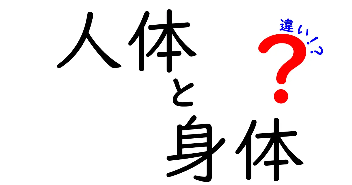 人体と身体の違いを徹底解説｜混同しがちな用語の正しい使い方