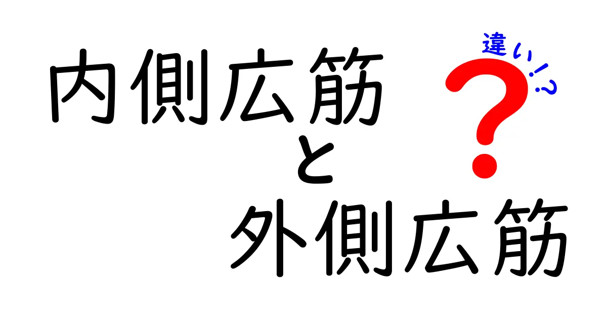 内側広筋と外側広筋の違いを徹底解説 中学生にもわかる膝の筋肉図鑑