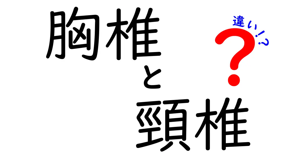 胸椎と頸椎の違いを完全解説！中学生にもわかる背骨の基礎ガイド