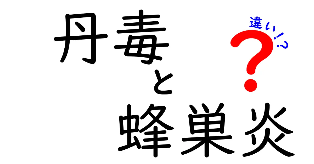 丹毒と蜂巣炎の違いを理解して正しく対処するための徹底ガイド：症状・原因・治療のポイント
