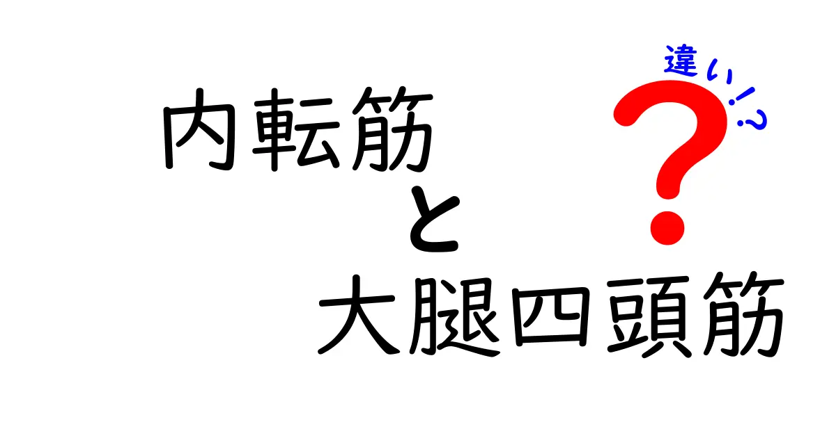 内転筋と大腿四頭筋の違いを徹底解説！日常動作とスポーツのパフォーマンスを左右する筋肉の正体