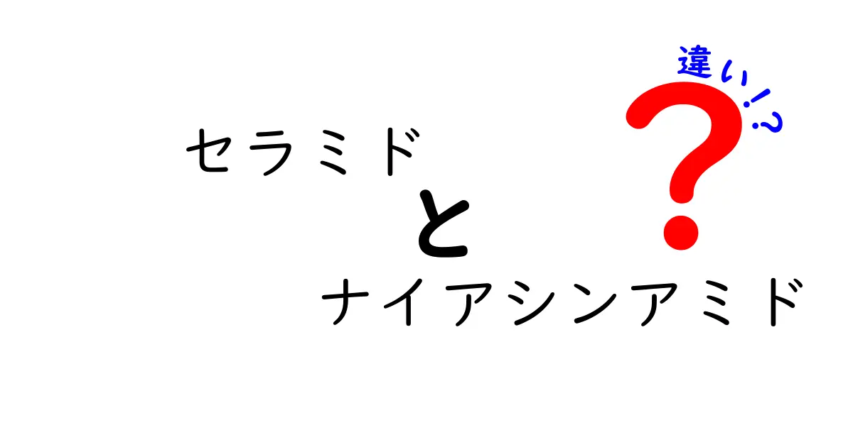 セラミドとナイアシンアミドの違いを徹底解説！肌悩みに効く成分はどっち？