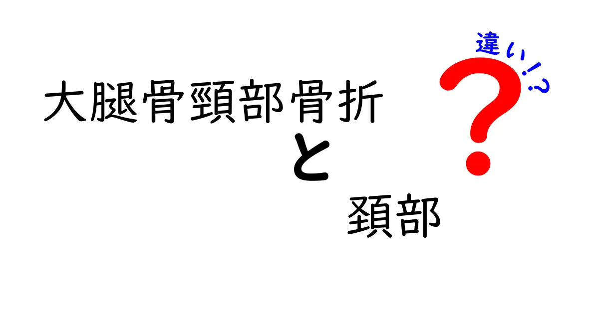 大腿骨頸部骨折と頚部の違いを徹底解説：用語の混同を避ける基本ガイド