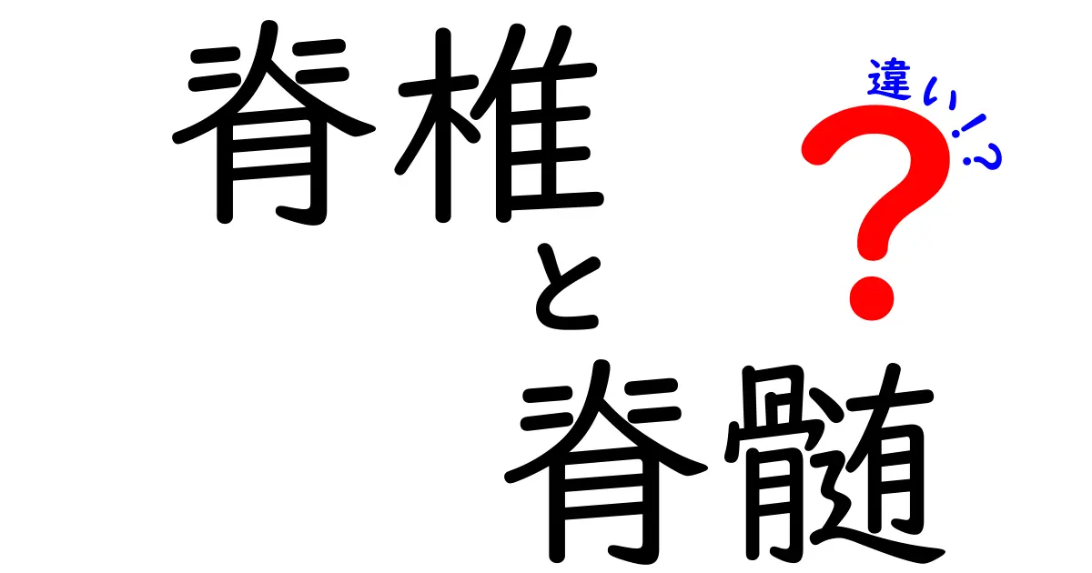 脊椎と脊髄の違いを徹底解説！中学生にもわかる基礎から臨床まで、日常生活に活かせるポイントを丁寧に解説するクリック必須ガイド