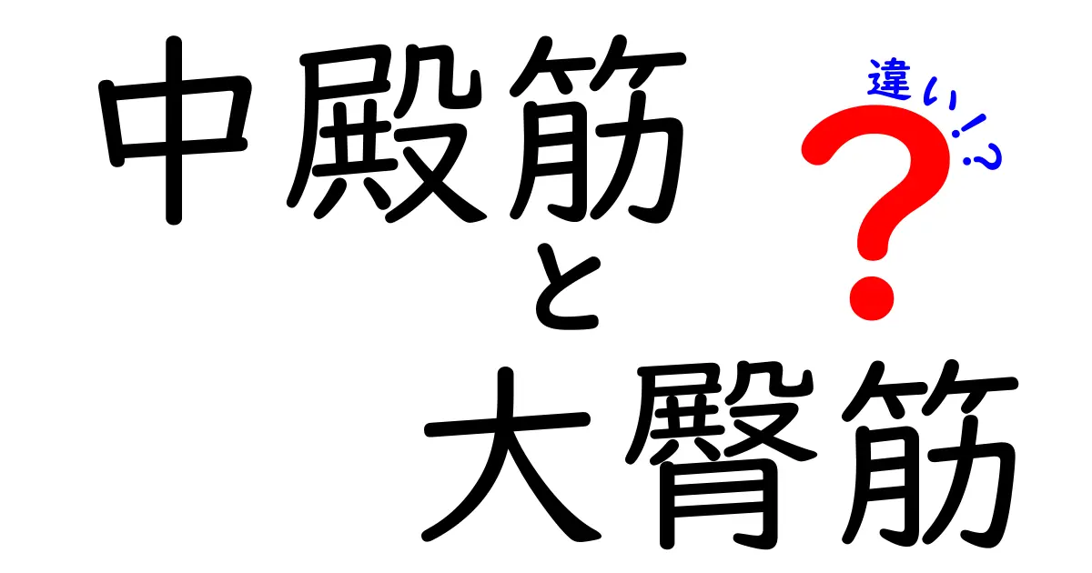 中殿筋と大臀筋の違いを徹底解説！名前・場所・働き・トレーニングの使い分け