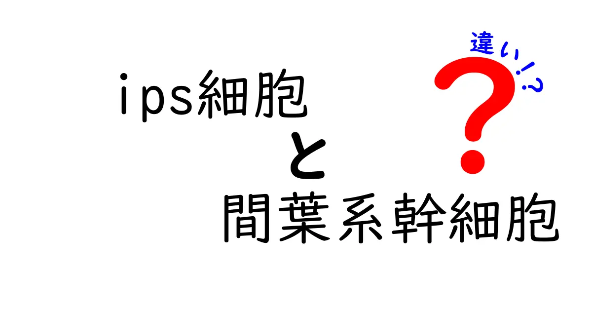 ips細胞と間葉系幹細胞の違いを完全ガイド：再生医療を変える2つの細胞の正体と使い道