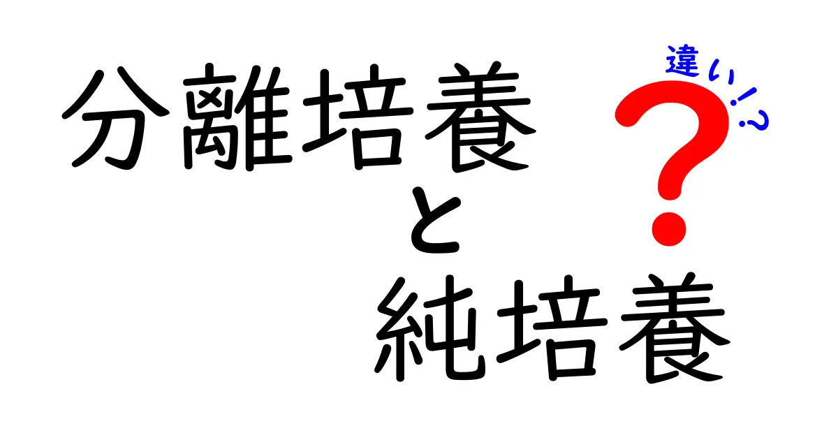 分離培養と純培養の違いをわかりやすく解説！中学生にも伝わる科学の基本