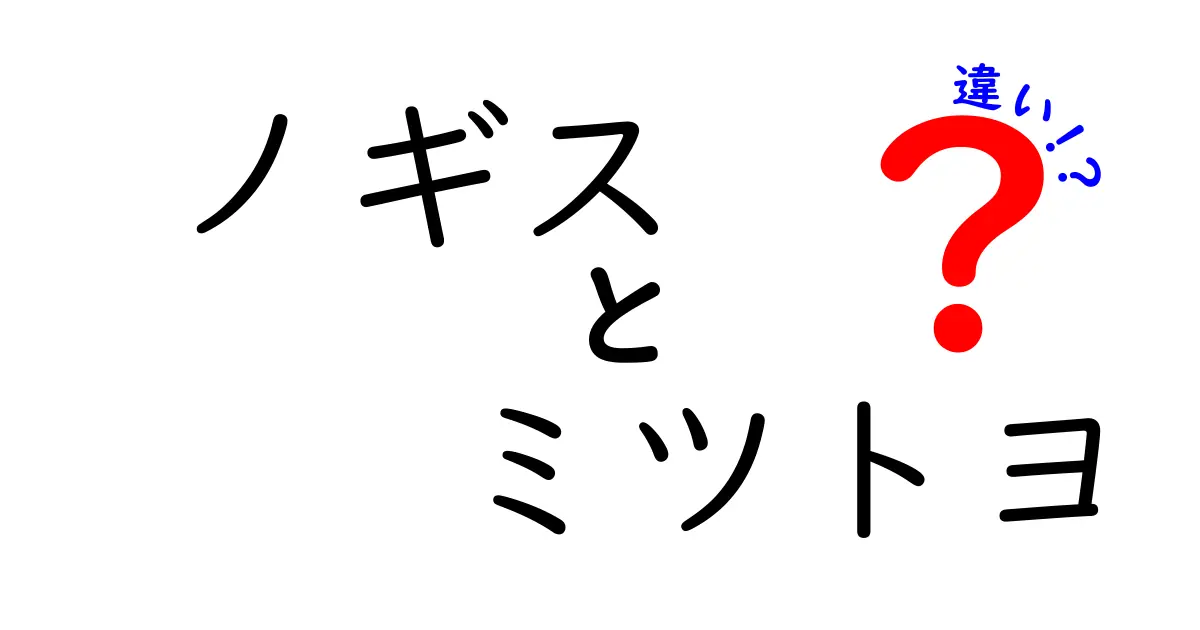 ノギスとミツトヨの違いとは？測定精度・用途・価格を徹底比較