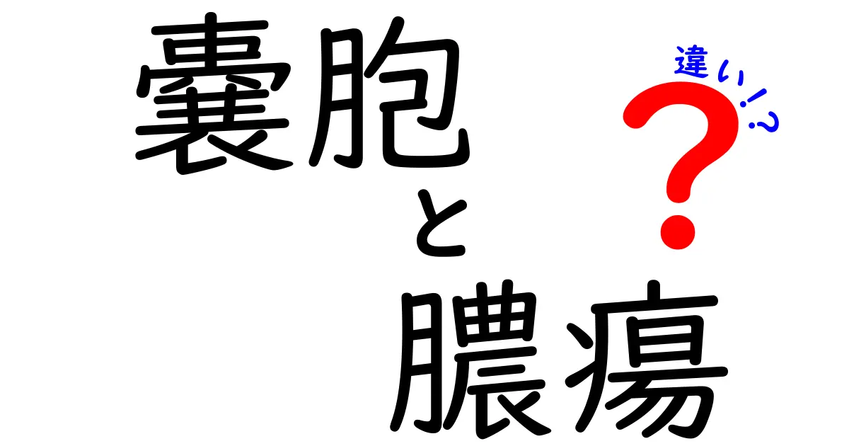 嚢胞と膿瘍の違いがわかる！見分け方と対処のコツを中学生にもやさしく解説