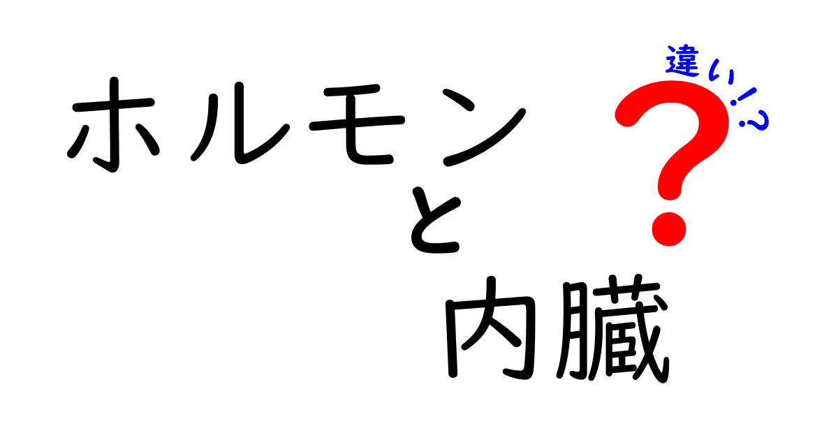 ホルモンと内臓の違いって何？中学生にもわかる体のしくみ徹底解説