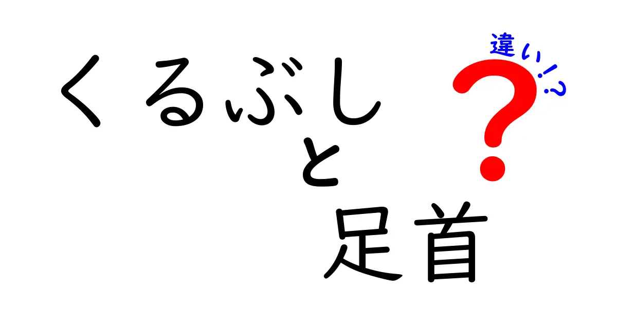 くるぶしと足首の違いを完全理解！見た目と機能の差を日常生活で活かす実用ガイド