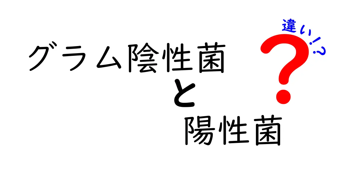 グラム陰性菌と陽性菌の違いを徹底解説：中学生にも伝わるポイント