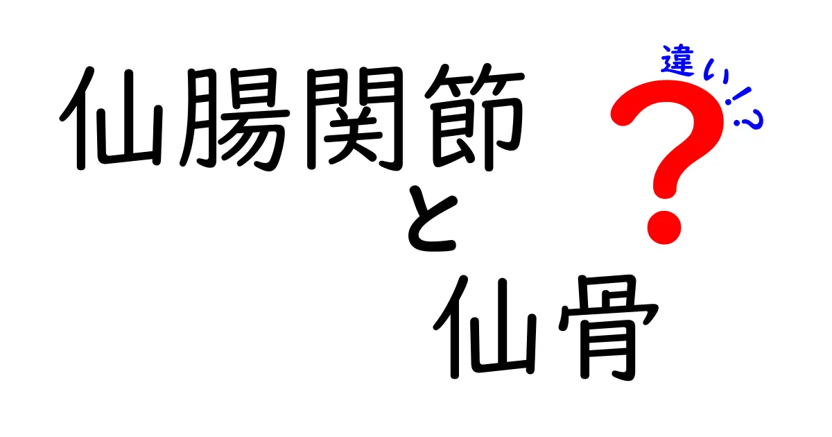 仙腸関節と仙骨の違いを徹底解説！痛みの正体を見抜く5つのポイント