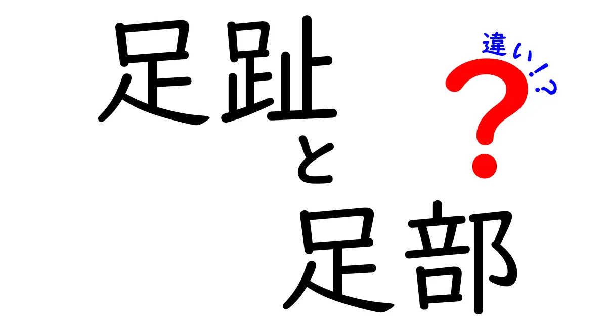 足趾と足部の違いを徹底解説！足の構造を知れば歩き方が変わる