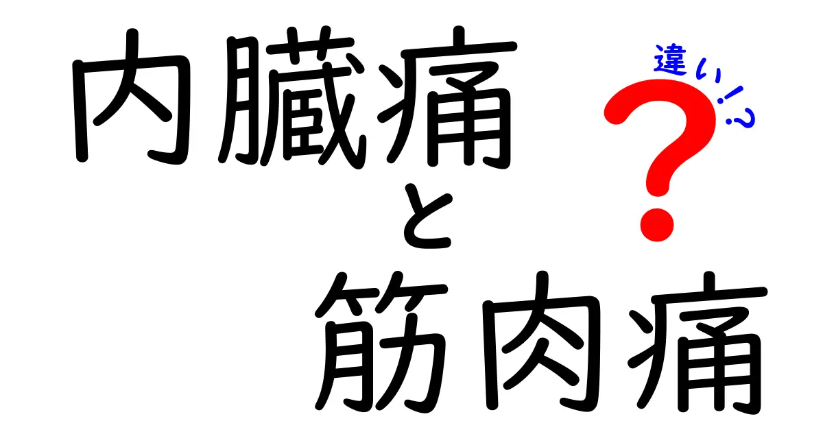 内臓痛と筋肉痛の違いを徹底解説！痛みの正体を見抜く7つのポイント