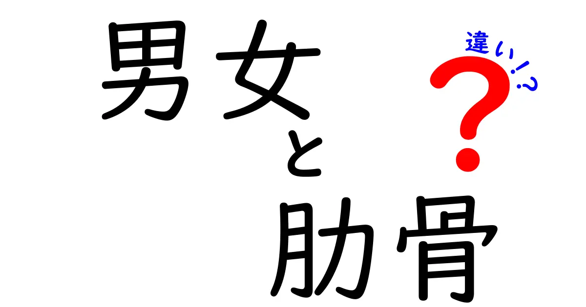 男女の肋骨の違いはあるの？科学が教える真実と誤解を解く解説