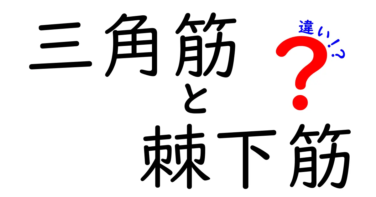 三角筋と棘下筋の違いを徹底解説｜肩の筋肉を正しく使い分けるコツ