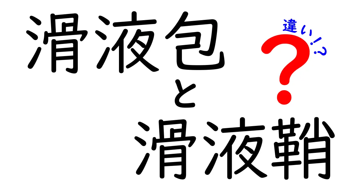 滑液包と滑液鞘の違いを徹底解説｜中学生にも分かるやさしい解説