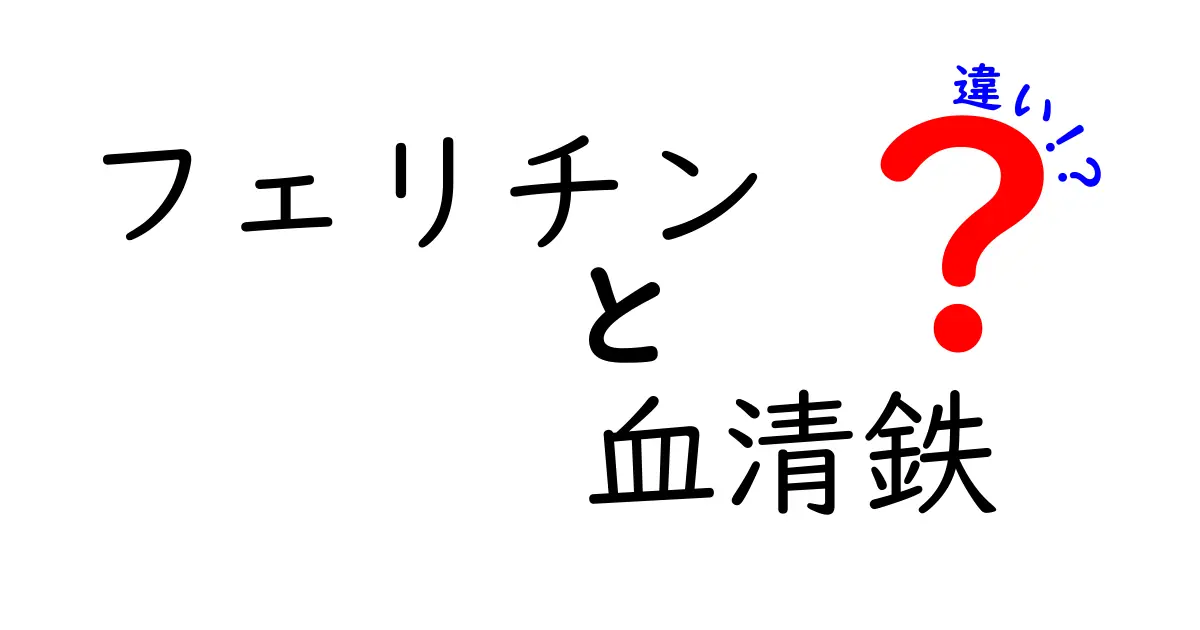 フェリチンと血清鉄の違いをひと目で理解！中学生にもやさしい解説