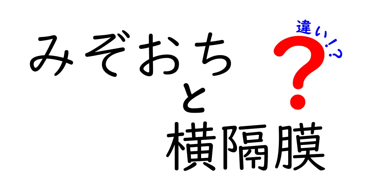 みぞおちと横隔膜の違いを徹底解説！場所・役割・不調サインを中学生にもわかる図解付き