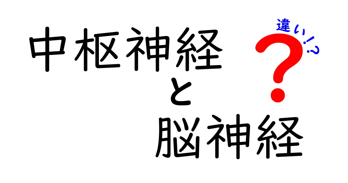 中枢神経と脳神経の違いを徹底解説！脳と神経の謎を学校の授業よりわかりやすく、日常生活にも役立つポイントまで丁寧に解き明かす