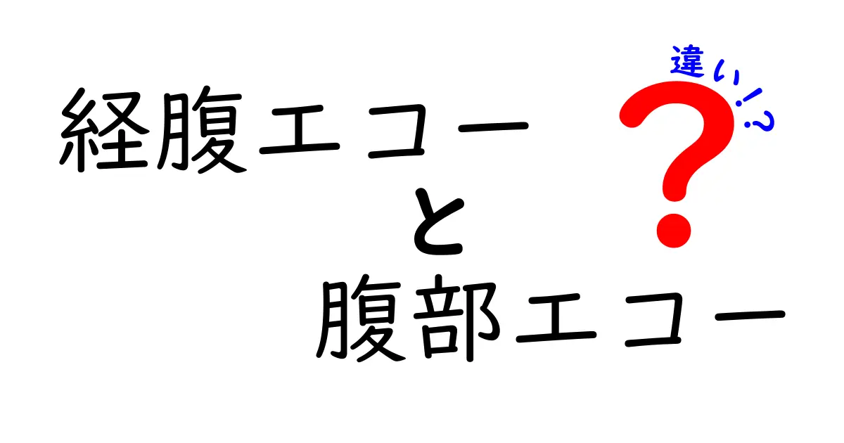 経腹エコーと腹部エコーの違いを徹底解説！検査前に知っておきたいポイントと選び方