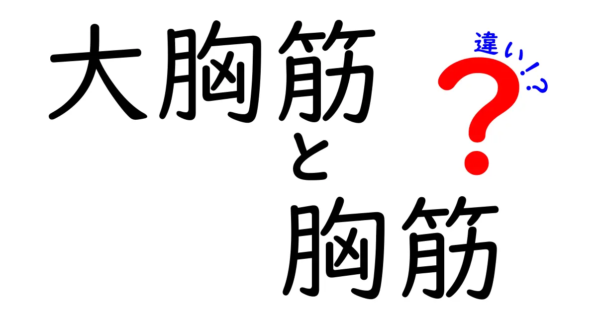大胸筋と胸筋の違いを徹底解説｜鍛え方・痛み・誤解を解くポイント