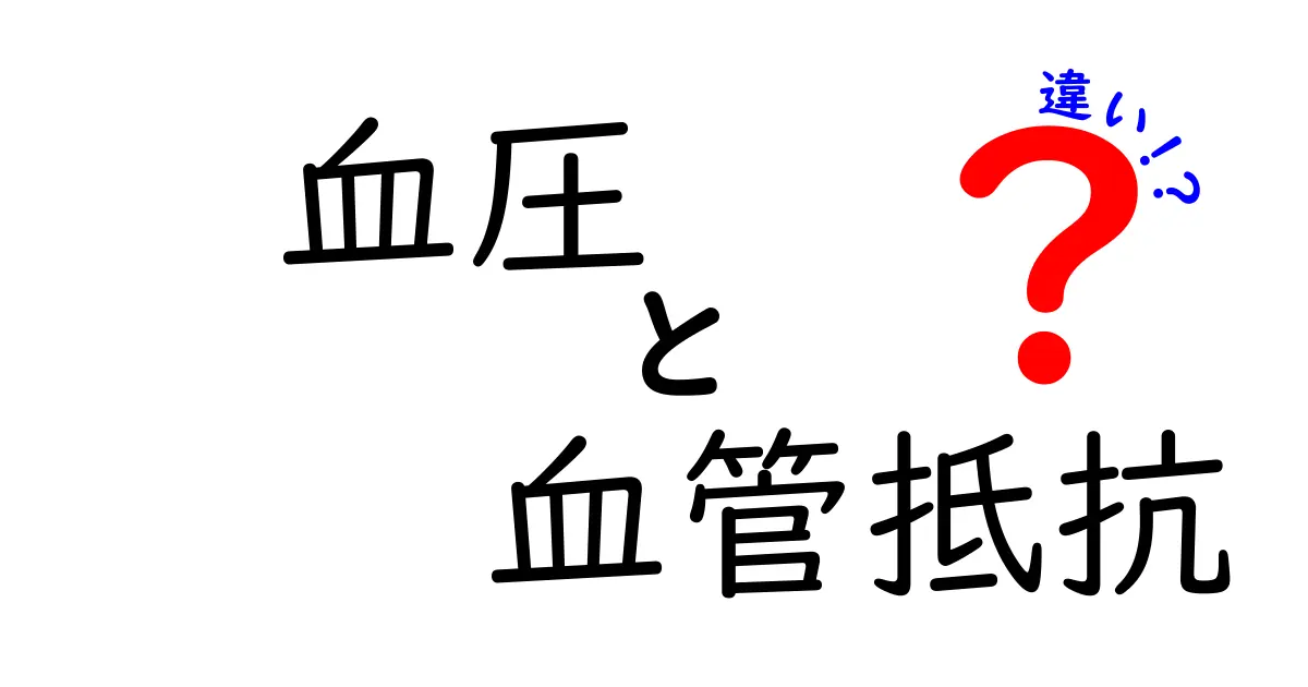 血圧と血管抵抗の違いを徹底解説！中学生にもわかる3つのポイントと日常の見方