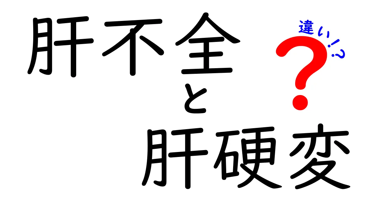肝不全と肝硬変の違いを徹底解説！原因・症状・治療を中学生にもわかる言葉で