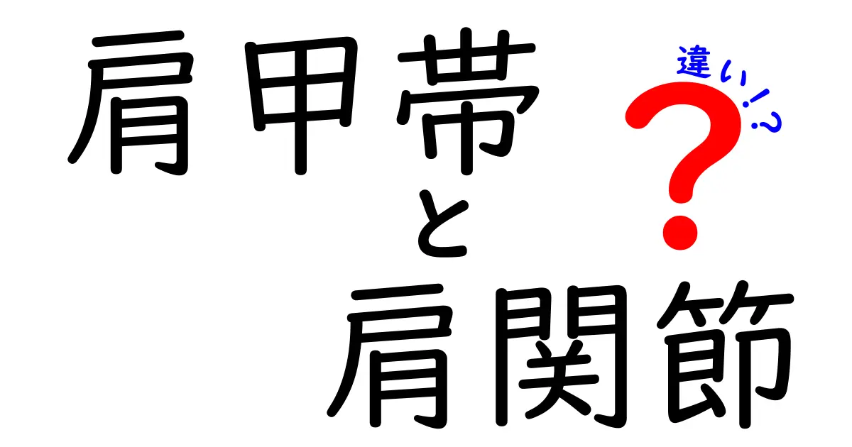 肩甲帯と肩関節の違いを徹底解説！基礎から日常の痛みまで知っておくべきポイント