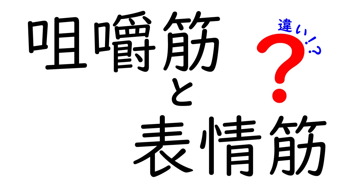 咀嚼筋と表情筋の違いを徹底解説：噛む力と笑顔の秘密を知ろう
