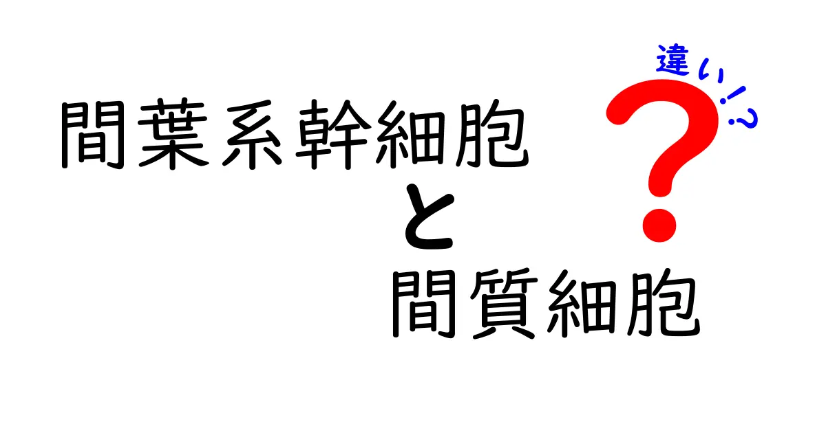 間葉系幹細胞と間質細胞の違いを徹底解説！初心者でも分かるポイント整理