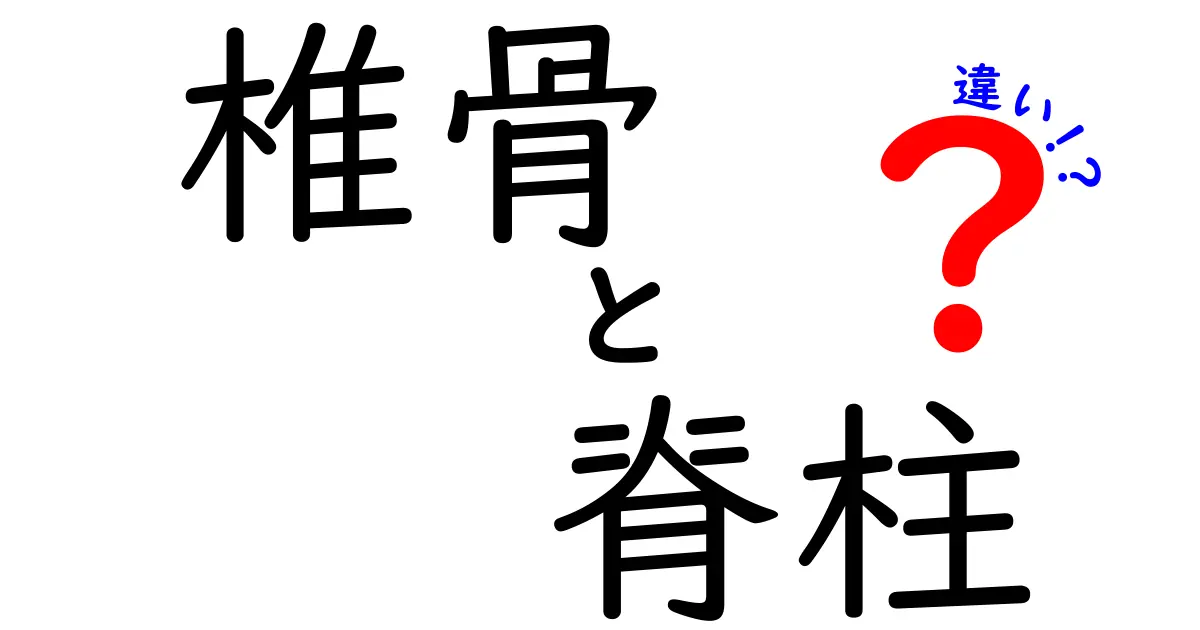 椎骨と脊柱の違いを徹底解説するためのクリックされやすい長文タイトル：椎骨は背骨を構成する個々の骨であり 脊柱はそれらを含む全体の軸であるという基本を図解と日常表現で分かりやすく伝える中学生にも読めるガイド