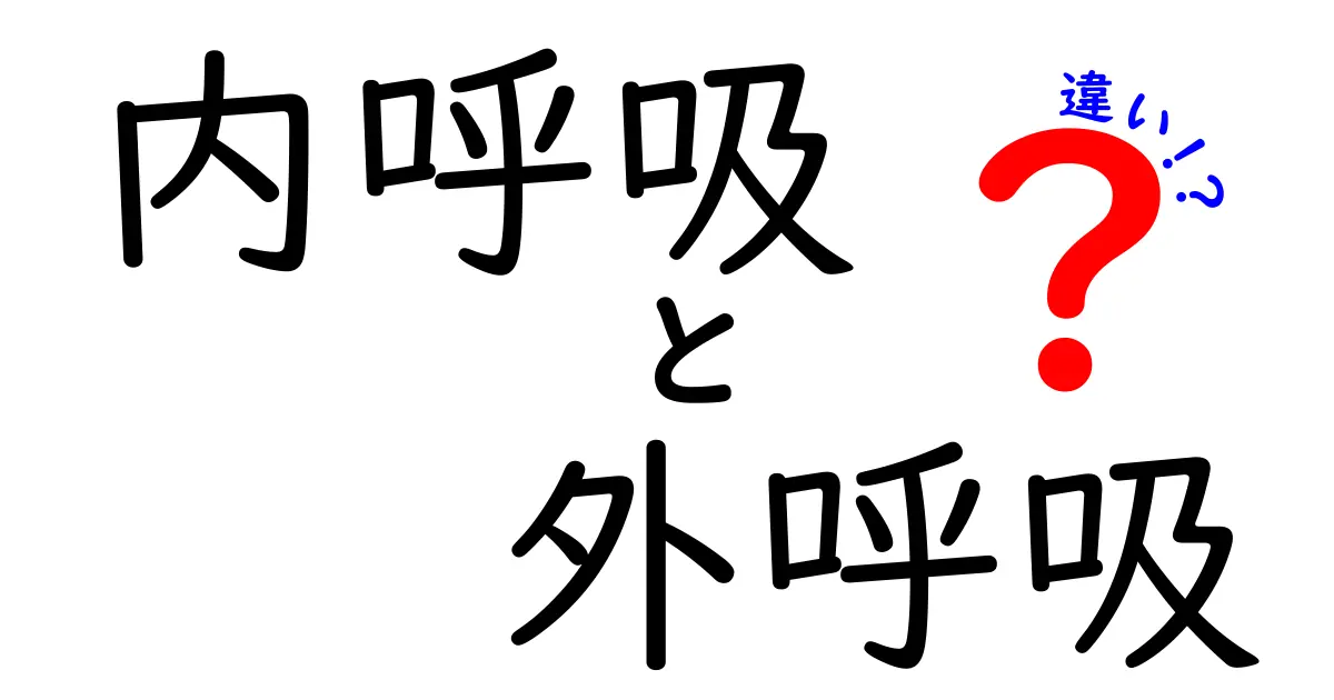 内呼吸と外呼吸の違いを徹底解説！中学生にも分かるやさしい解説