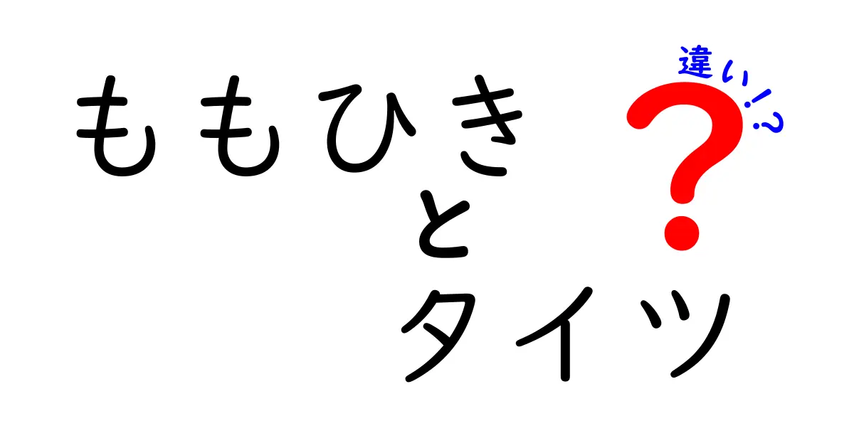 ももひきとタイツの違いを徹底解説！中学生にも伝わる選び方ガイド