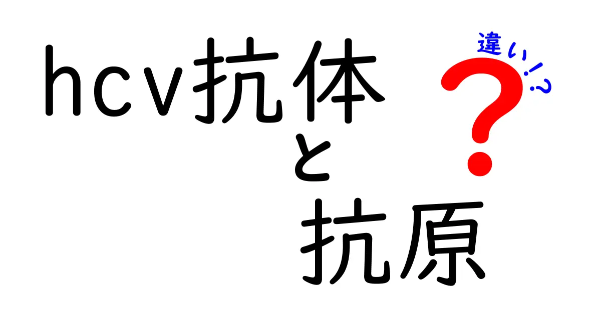 HCV抗体と抗原の違いをわかりやすく解説！中学生にも伝わる図解付きガイド